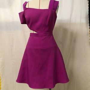 BCBGMaxazria “Kiki” Asymmetrical Cocktail Dress- Size 10 Magenta